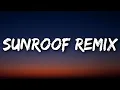 Download Lagu Nicky Youre, dazy - Sunroof Remix (Lyrics) Ft. 24kGoldn