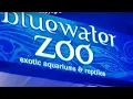 Blue Water Zoo Aquatics in Fort Walton Florida