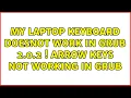My laptop keyboard doesnot work in GRUB 2 0 2 Arrow keys not working in GRUB