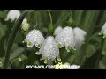 Download Lagu Музыка Для Души ,,КОГДА ЗАЦВЕТАЕТ ВЕСНА ,, #Музыка#Сергей#Грищук