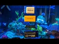 Download Lagu Ultimate Aquarium Magnet Cleaner Review