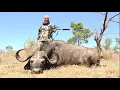 Download Lagu Q  |  Mozambique Trials  |  8.6 vs Cape Buffalo