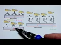 Debouncing mechanical push button switch with capacitor and resistor how to DIY electronics