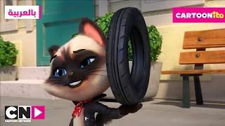 فقرة كارتونيتو مغامرات الهررة مقايضة العجلة كرتون نتورك 