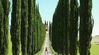 يا مرسال المراسيل فيروز 