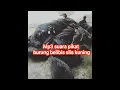 Download Lagu Suara pikat burung sawah dan rawa mp3 pikat suara burung sawah dan rawa suara belibis alis kuning