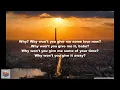 Jungle-Let’s Go Back (Lyrics)
