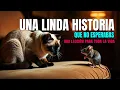 Download Lagu The Cat and the Mouse ___ A Beautiful Story YOU DIDN'T EXPECT and a Lesson for Life