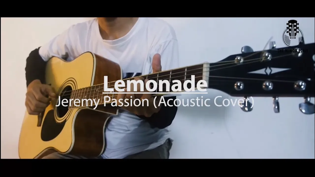 Lemonade - Jeremy Passion (Acoustic Karaoke)