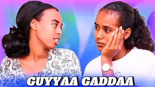 OBSEEN ODUU GADDAA NATTI HIMTE 