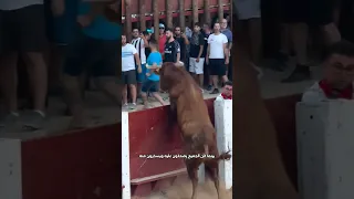 عندما ينقلب المشهد 