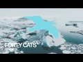FORTY CATS Ledokol