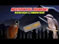 Download Lagu MASTERAN FULL KASARAN ‼️ SUARA JERNIH JEDA RAPAT(TEPUS KEPALA ABU, JINJING PETULAK)