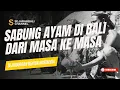 Download Lagu SABUNG AYAM DI BALI DARI MASA KE MASA