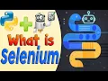 FullCourse Selenium Web Scraping With Python