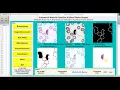 Automated Malaria Detection In Blood Smear Images Using Image Processing IEEE Based Projects
