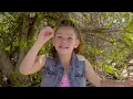 Haschak Sisters - Daddy Says No