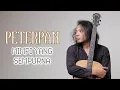 FELIX IRWAN | PETERPAN - MIMPI YANG SEMPURNA Mp3 Song Download