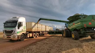 Fazenda Tauá Palmito