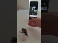 I Built a Low-Latency WebRTC Live Camera on a Pi Zero 2W with an App