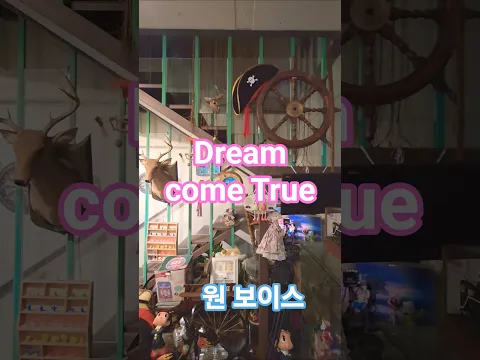 꿈의 현실 #toys