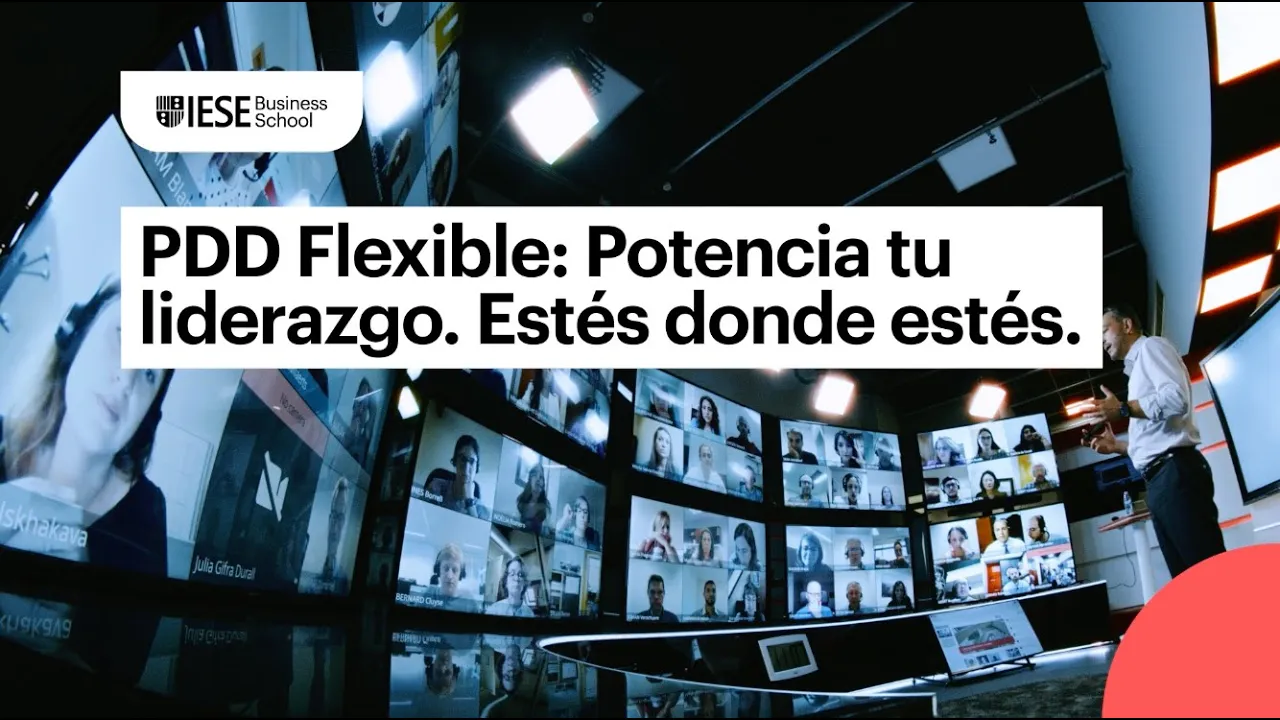 IESE Business School — IESE Business School — PDD Flex (YouTube video ad)