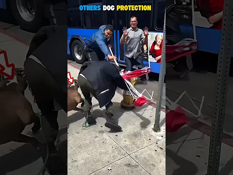 OTHERS DOG PROTECTION Vs the last one 🔥💀. #dog #unique #hook #fyp #viralvideo