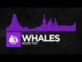 Download Lagu [Dubstep] - Whales - Addicted