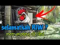 Download Lagu [Episod1562] inilah keadaan RIW ditinggalkan menumpang di rumah orang masa pak long balik kampung