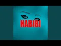 Lagu Habibi
