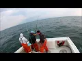 Sweet Dream Sport Fishing Bluefin Tuna Finale 11 3 2016