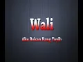 Download Lagu WALI - Aku Bukan bang Toyib (Karaoke + Lyrics)