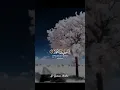 Download Lagu sura Al-Qusar...🍀 Heart melting Sur Al-Quran studio #alquran #human #subscribemychannel