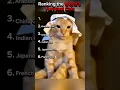 Download Lagu Ranking the World’s Funniest Cat #catvideos #catshorts #catmeme