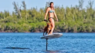 First Time on an Electric Foil (We Brought Our Dog!)