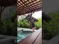 Download Lagu Must visit spa in Bali - Hesa Spa Ubud - Cold plunge pool, hot plunge pool, steam room, Korean Scrub