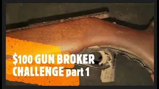 100 GunBroker Challenge