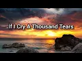 Download Lagu If I Cry A Thousand Tears (Nightcore)