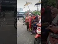 Download Lagu nyongkol live pansor\u0026kelongkong kecimol kecuali kuning