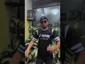 Download Lagu Hooligans Bandung 💯 #hooligansworld #shorts #shortvideo