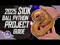 10K Ball Python Breeding Guide 2025 Edition