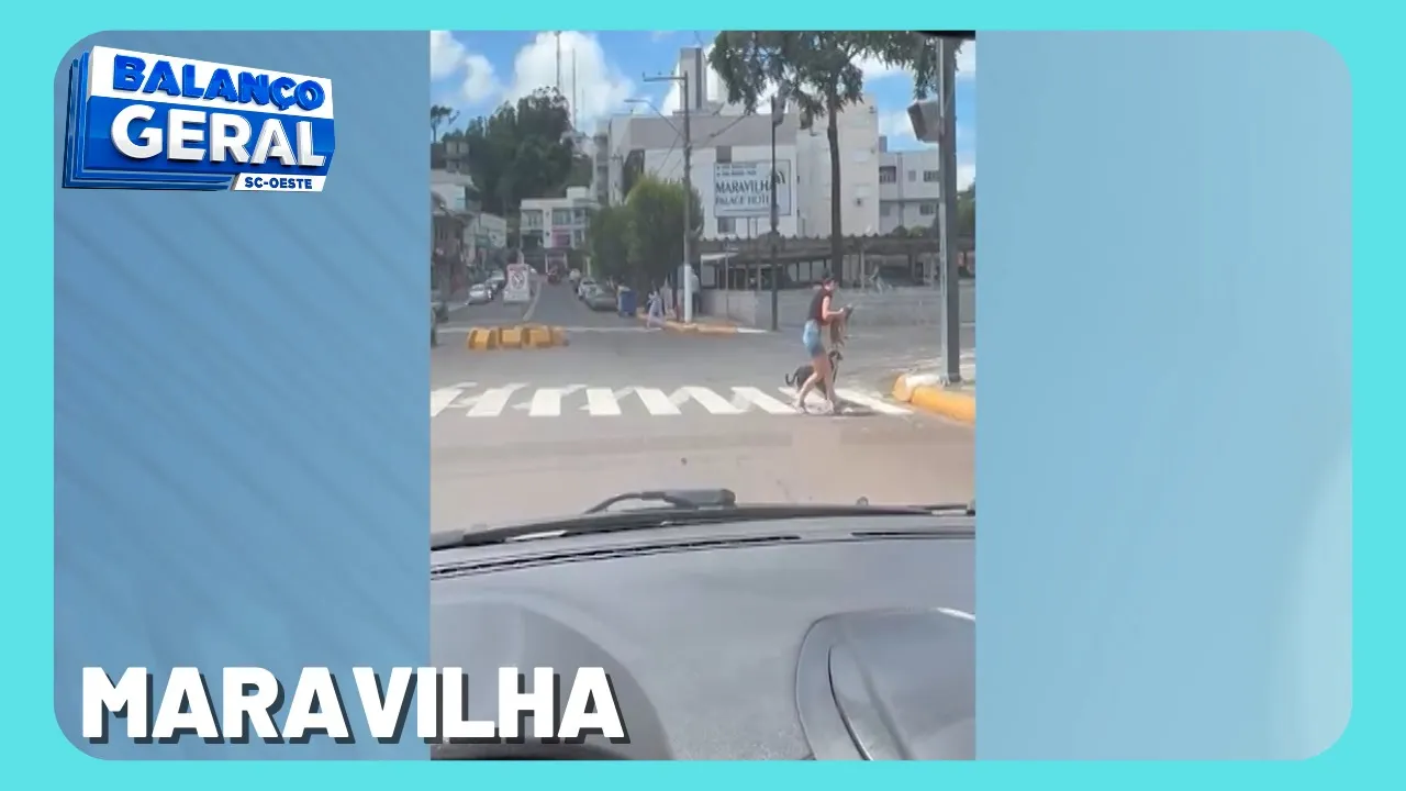 Vídeo de moradora auxiliando cachorra atravessar a rua viraliza na internet