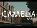 Download Lagu Camelia - Irwansyah (Lyrics)
