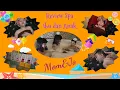 Review Spa Ibu dan Anak di Mom n Jo Dharmawangsa Jakarta