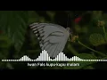 Download Lagu Iwan fals - kupu kupu hitam putih