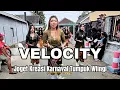 Download Lagu VELOCITY VIRAL I TJAP MORGAN ‼️ Karnaval tumpuk wlingi 2025