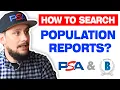 How To Search PSA and BGS Population Reports - Investing in Sports Cards