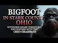 Download Lagu BIGFOOT ACTIVITY IN STARK COUNTY, OHIO
