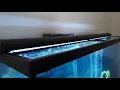 Top Fin 48 LED Fish Tank Hood Light And Mod