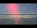 coldbrew - between the trees